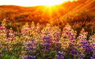 Cryptocurrency Market Analysis: Unlocking the Future's Potential and What It Means for Us