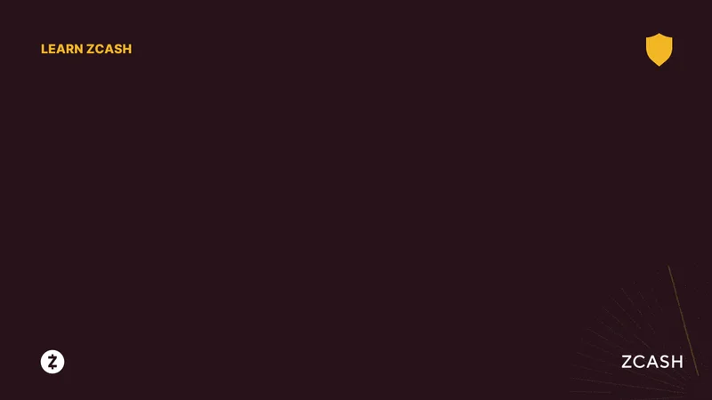 Zcash: What's the Deal with its Price and All This 'News'? – What Reddit Thinks It Knows